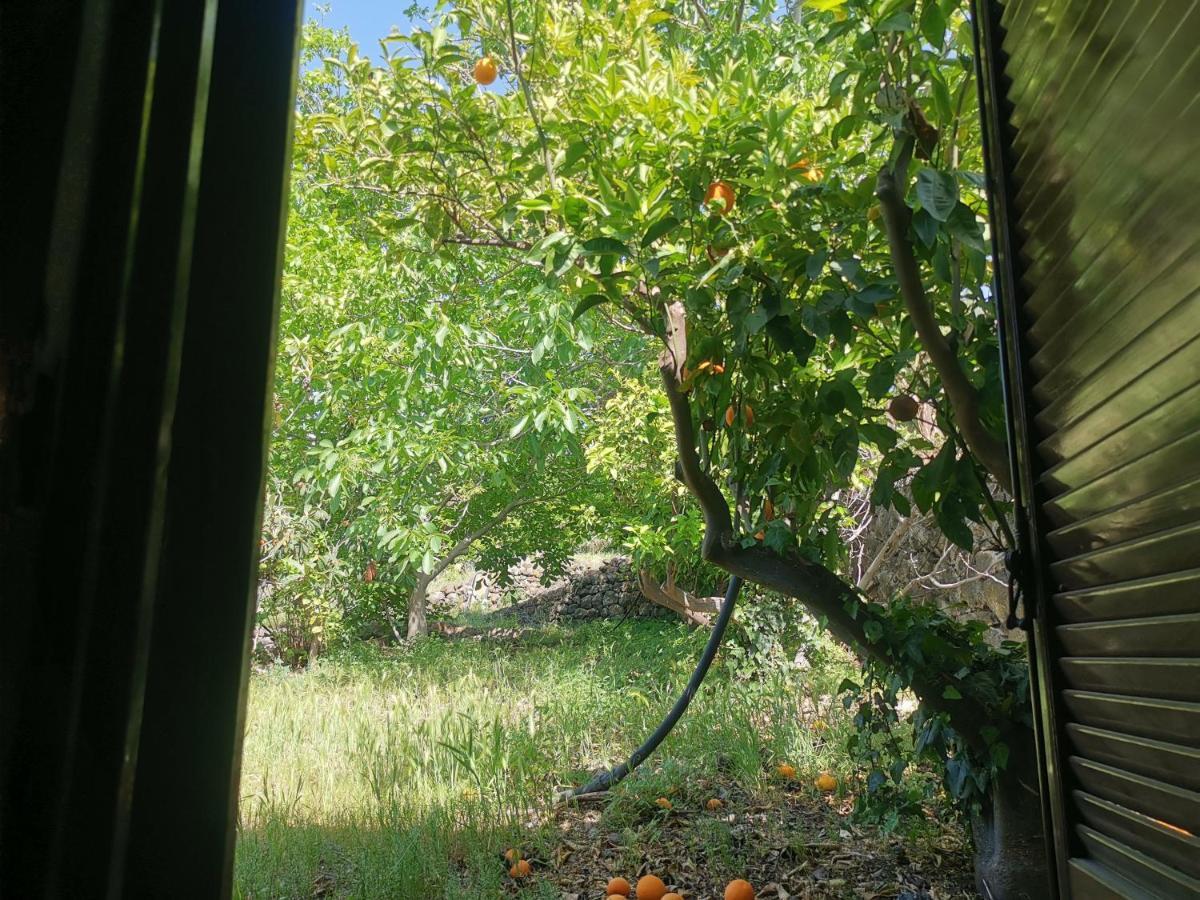 La Fattoria Dei Nonni Pension Paterno  Buitenkant foto