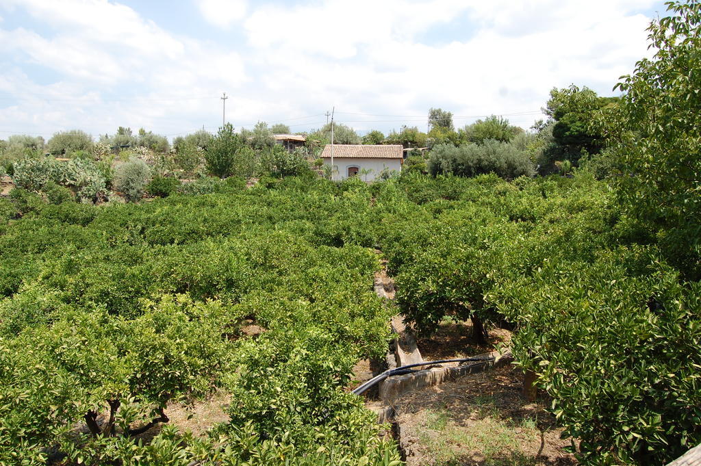 La Fattoria Dei Nonni Pension Paterno  Buitenkant foto