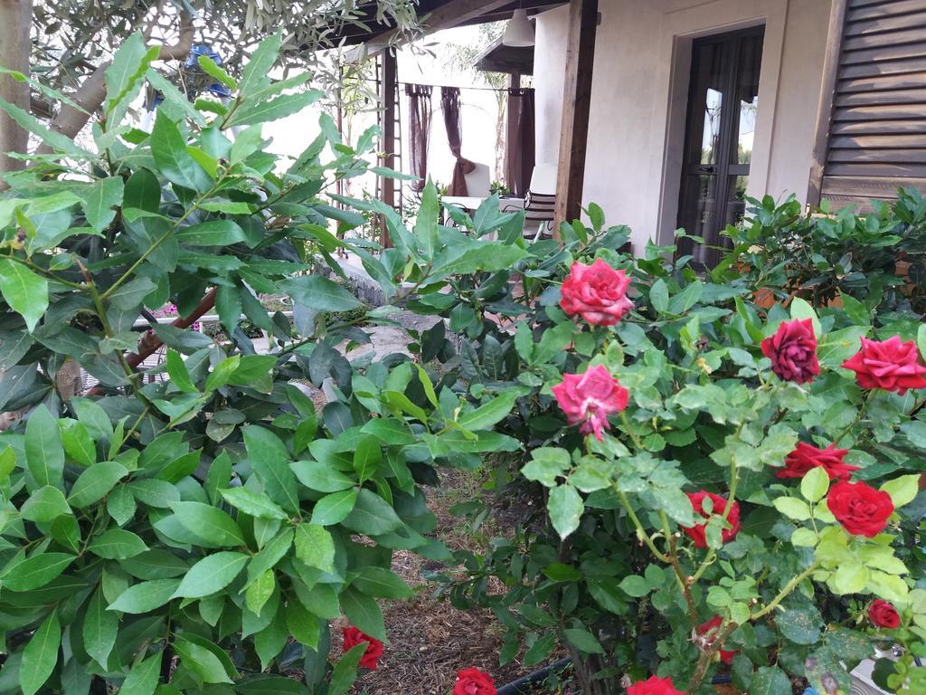 La Fattoria Dei Nonni Pension Paterno  Buitenkant foto